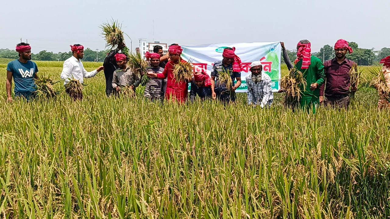 কোম্পানীগঞ্জে শস্য কর্তন ও মঙ্গল শোভাযাত্রার মধ্য দিয়ে বর্ষবরণ