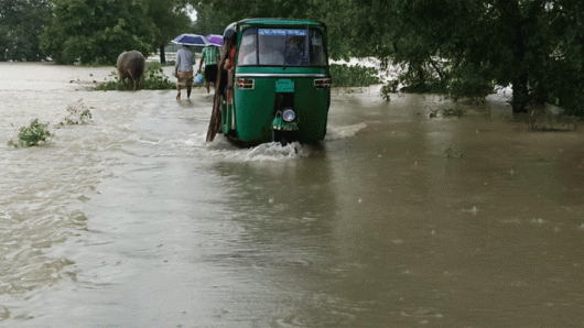 দোয়ারাবাজারে বেড়িবাঁধ ভেঙে ১০ গ্রাম প্লাবিত