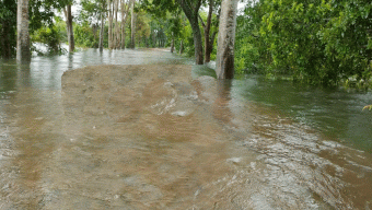 গোয়াইনঘাটে বন্যা পরিস্থিতির অবনতি, সালুটিকর-গোয়াইনঘাট সড়ক যোগাযোগ বিচ্ছিন্ন